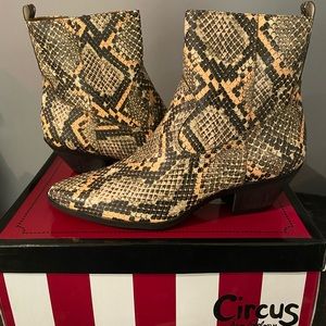 CIRCUS SAM EDELMAN Snake print ankle booties